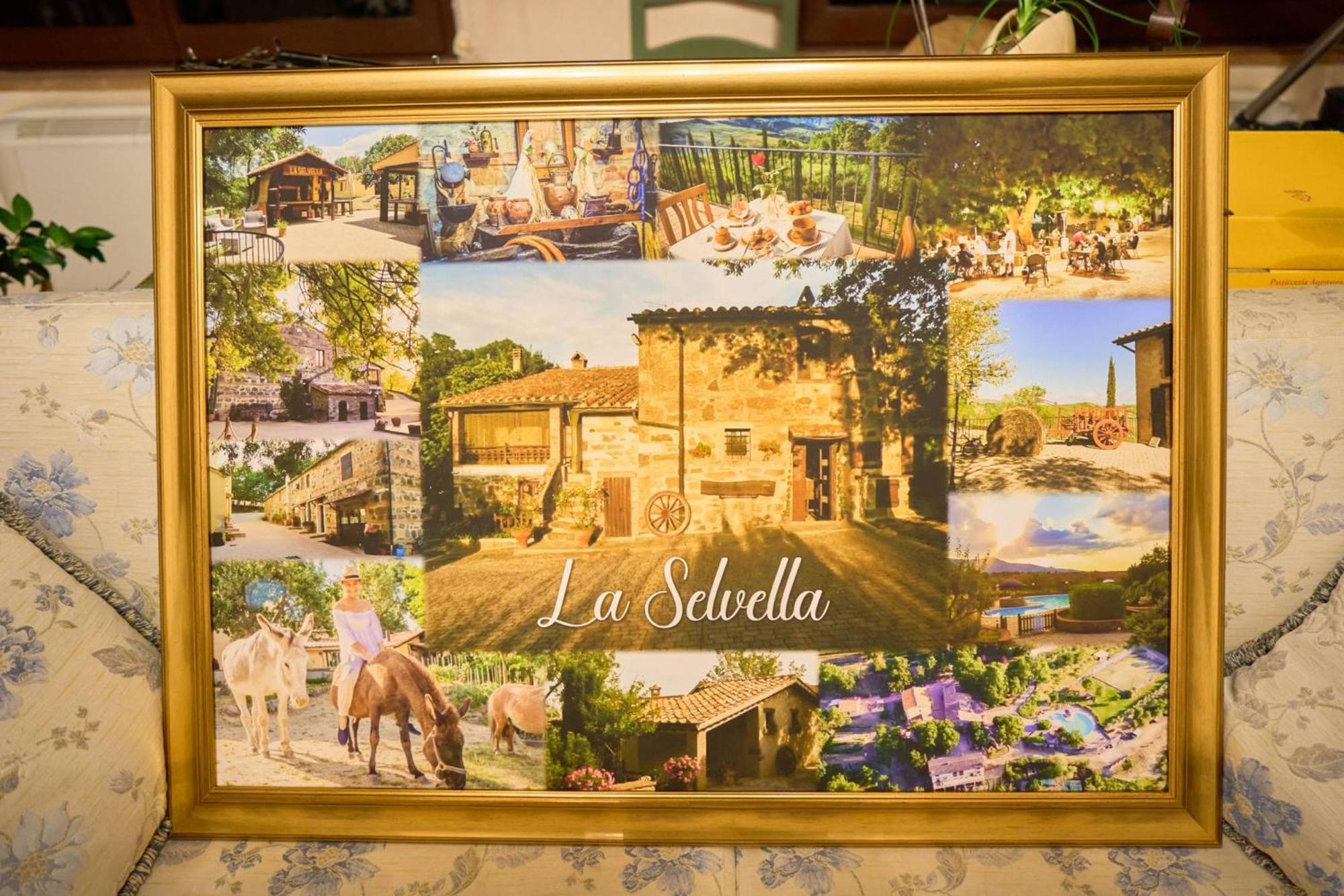 Agriturismo Selvella ラディコーファニ エクステリア 写真