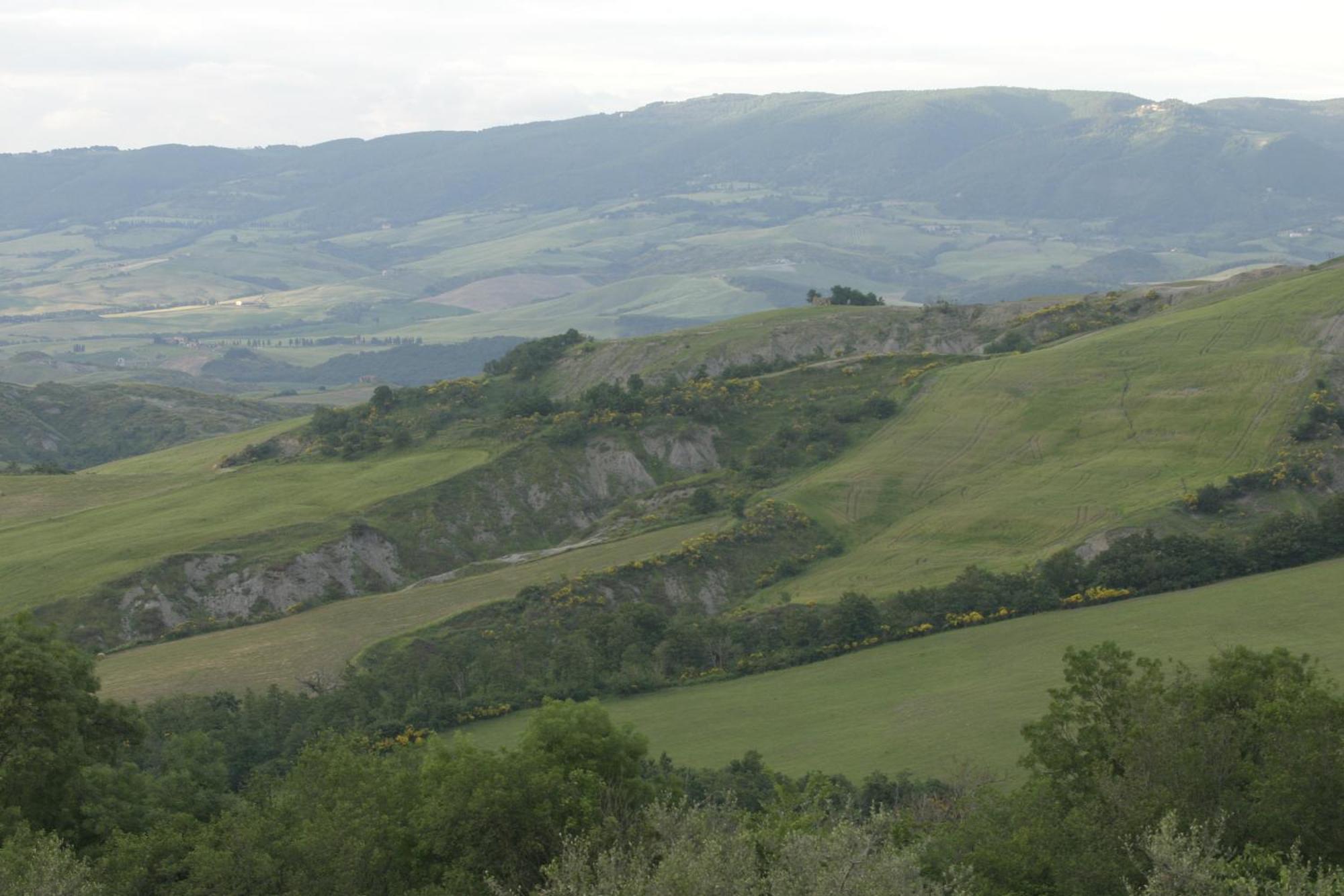 Agriturismo Selvella ラディコーファニ エクステリア 写真