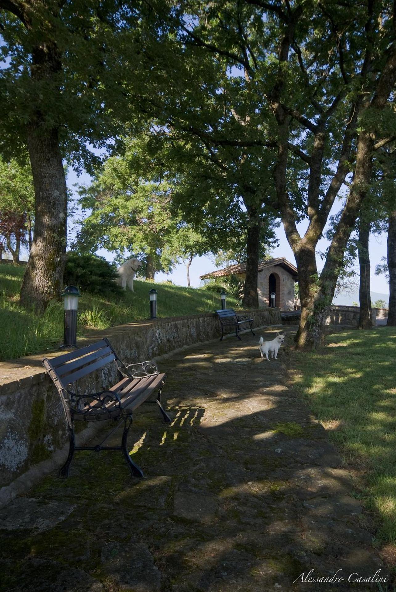 Agriturismo Selvella ラディコーファニ エクステリア 写真