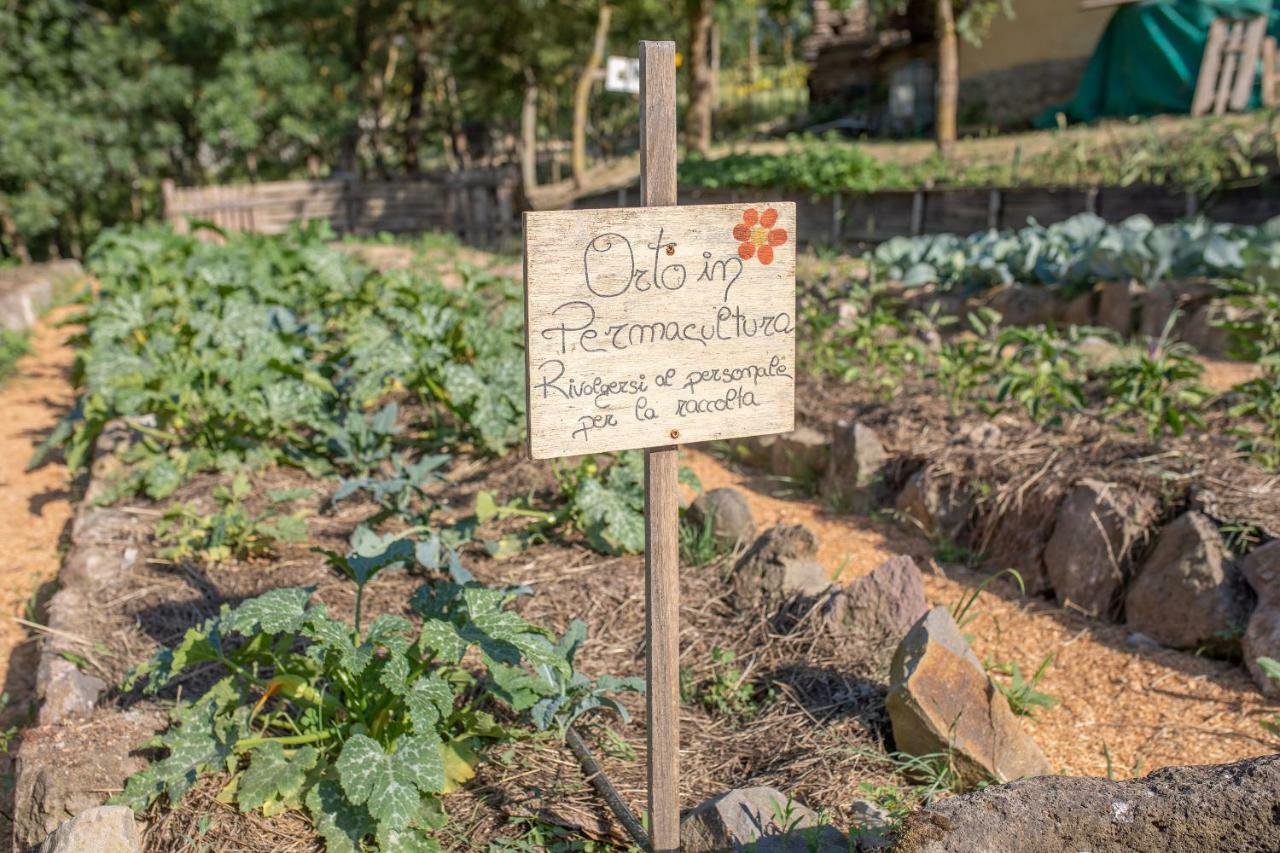Agriturismo Selvella ラディコーファニ エクステリア 写真