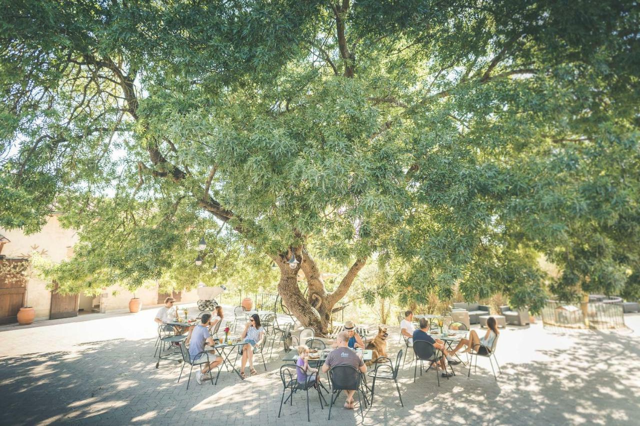 Agriturismo Selvella ラディコーファニ エクステリア 写真
